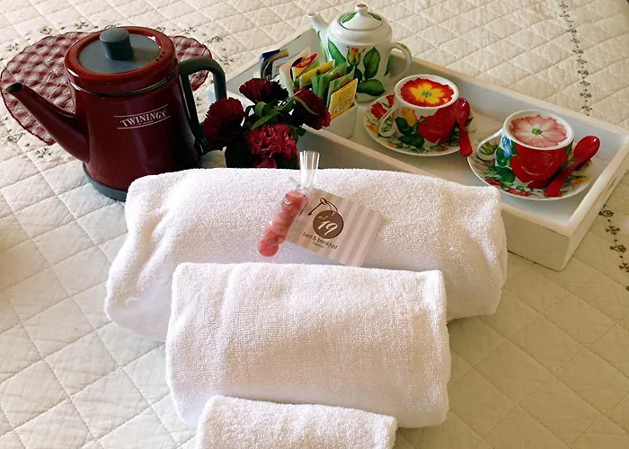 阿尔19号住宿加早餐旅馆 住宿加早餐酒店 4*